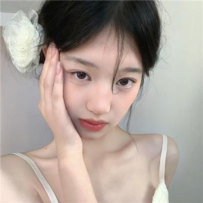 动画纪录